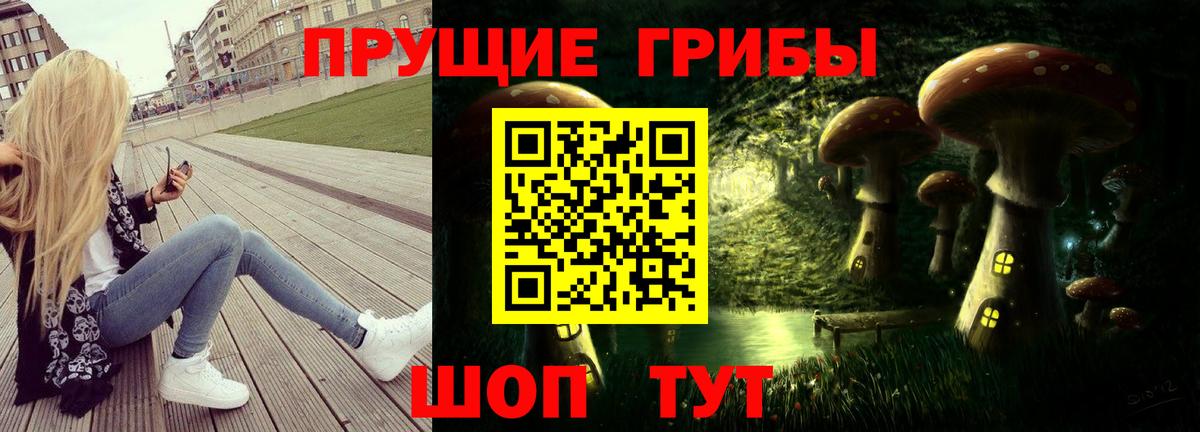 Псилоцибиновые грибы GOLDEN TEACHER  Вход с VPN  Трёхгорный  Галлюциногенные грибы Psilocybine cubensis 